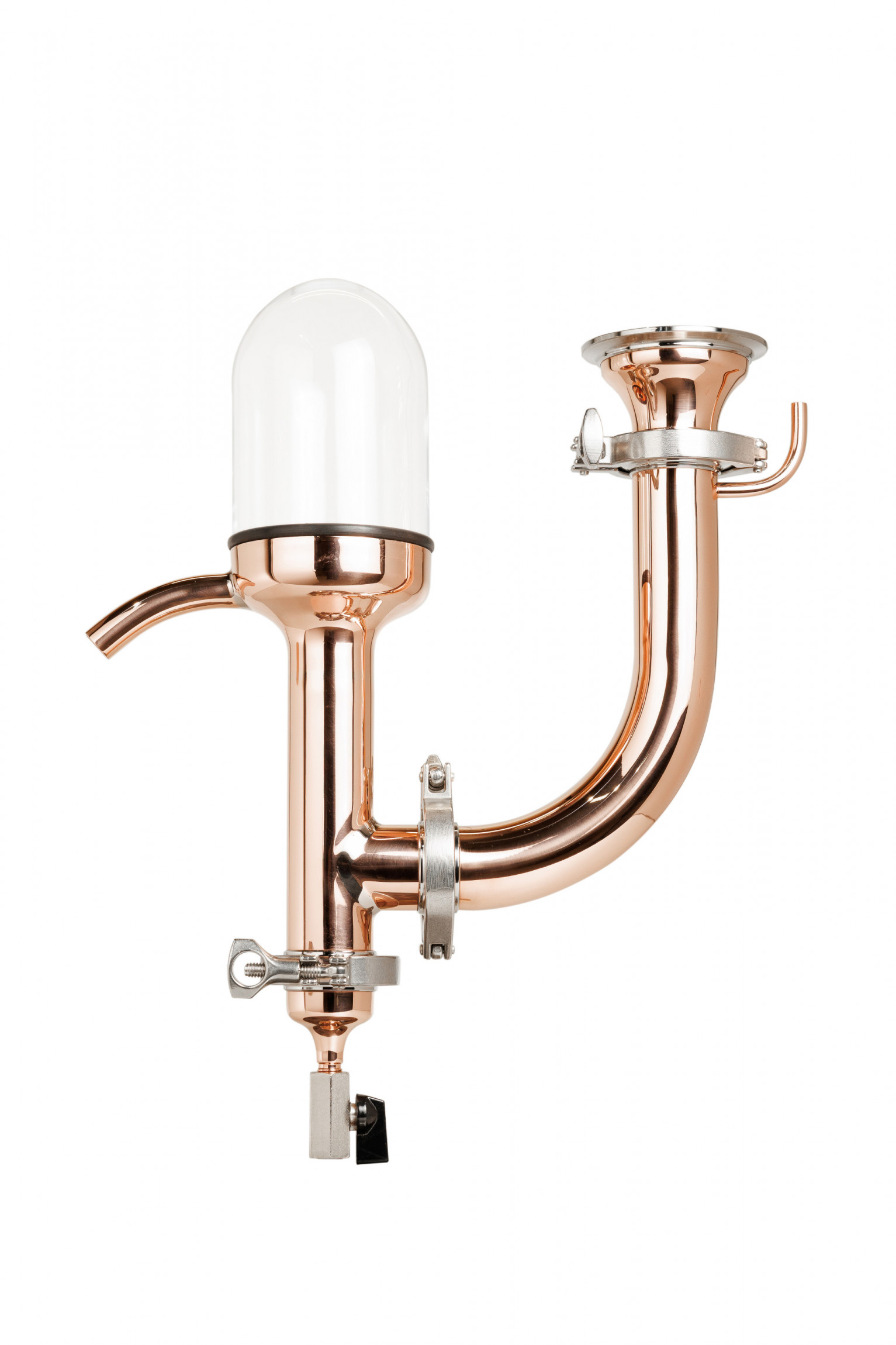 Copper proofing parrot Copper proofing parrot